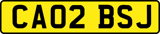 CA02BSJ