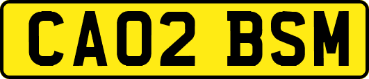CA02BSM