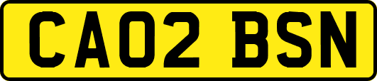 CA02BSN