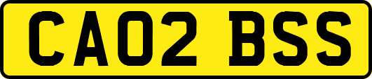 CA02BSS
