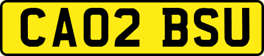 CA02BSU