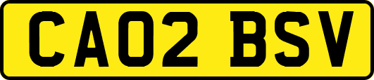 CA02BSV