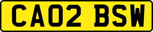 CA02BSW