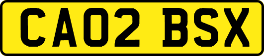 CA02BSX