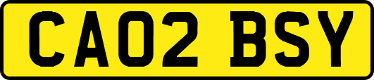 CA02BSY