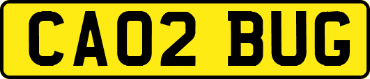 CA02BUG