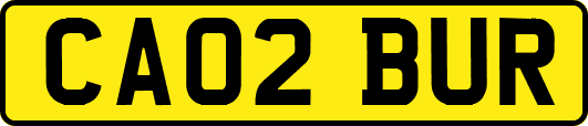 CA02BUR