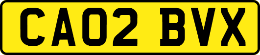 CA02BVX