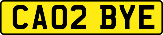 CA02BYE
