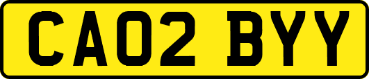 CA02BYY