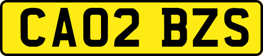 CA02BZS