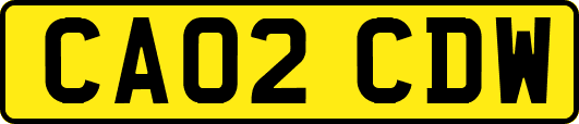 CA02CDW