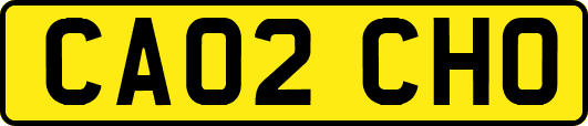 CA02CHO