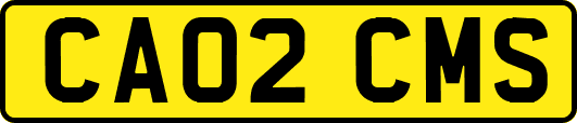 CA02CMS