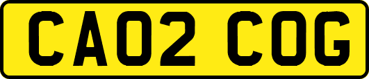 CA02COG