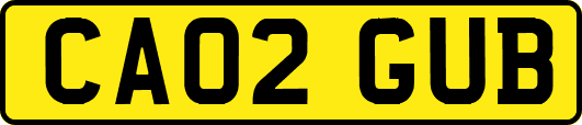 CA02GUB