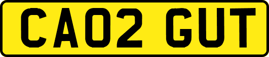 CA02GUT