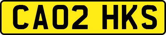 CA02HKS