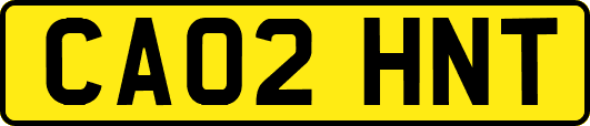 CA02HNT