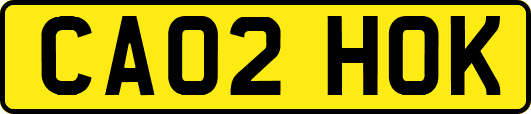 CA02HOK