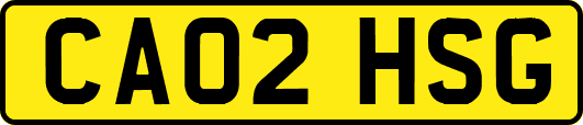 CA02HSG