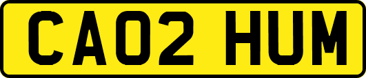 CA02HUM