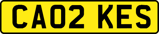 CA02KES