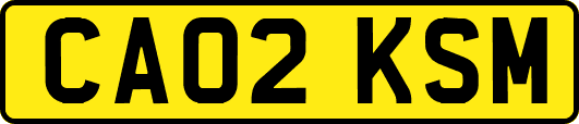 CA02KSM
