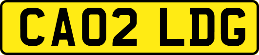 CA02LDG