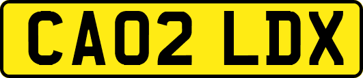 CA02LDX