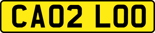 CA02LOO