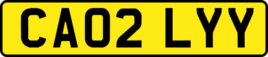 CA02LYY