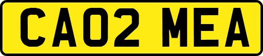 CA02MEA
