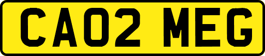 CA02MEG