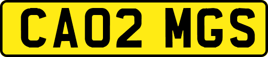 CA02MGS