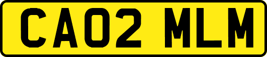 CA02MLM