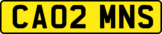 CA02MNS