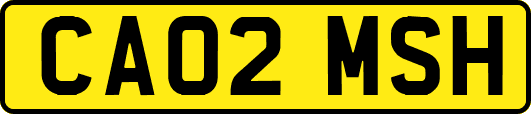 CA02MSH