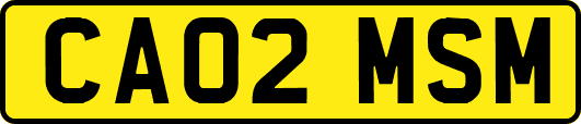 CA02MSM