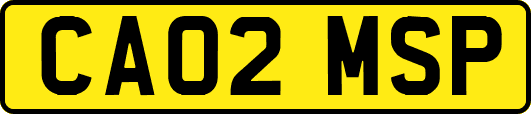 CA02MSP