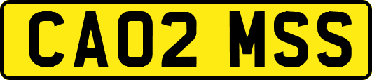 CA02MSS