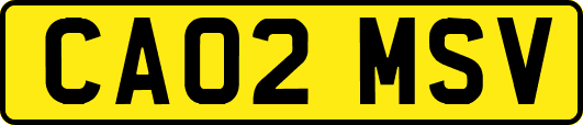 CA02MSV