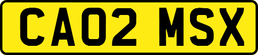 CA02MSX