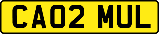 CA02MUL