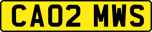 CA02MWS