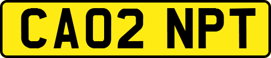 CA02NPT