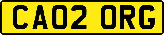 CA02ORG