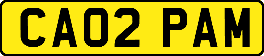 CA02PAM