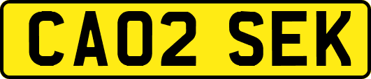 CA02SEK