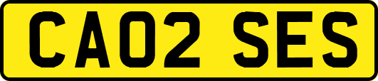 CA02SES